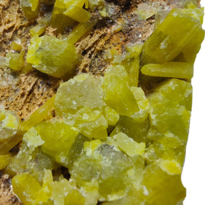 Pyromorphite Specimen # 114