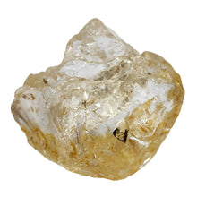 Load image into Gallery viewer, Enhydro Golden Healer Freeform # 86
