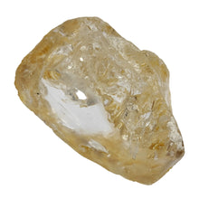 Load image into Gallery viewer, Enhydro Golden Healer Freeform # 86
