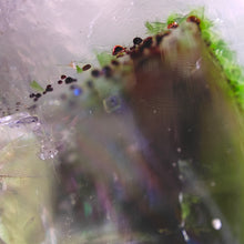 Load image into Gallery viewer, Cobaltoan Calcite &amp; Chrysocolla Specimen # 105
