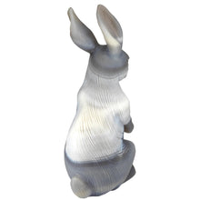 Load image into Gallery viewer, Agate Rabbit # 124
