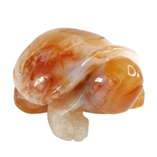 Load image into Gallery viewer, Carnelian Turtle # 102
