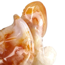 Load image into Gallery viewer, Carnelian Turtle # 102
