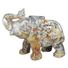 Load image into Gallery viewer, Crazy Lace Agate Elephant XL # 172
