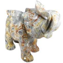 Load image into Gallery viewer, Crazy Lace Agate Elephant XL # 172
