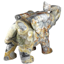 Load image into Gallery viewer, Crazy Lace Agate Elephant XL # 172

