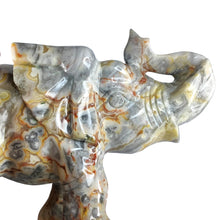 Load image into Gallery viewer, Crazy Lace Agate Elephant XL # 172
