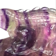 Load image into Gallery viewer, Rainbow Fluorite Lizard # 175
