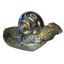Load image into Gallery viewer, Labradorite Snail #99
