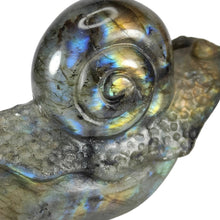 Load image into Gallery viewer, Labradorite Snail #99
