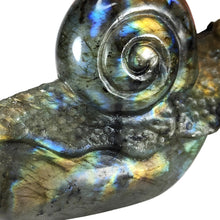 Load image into Gallery viewer, Labradorite Snail #99
