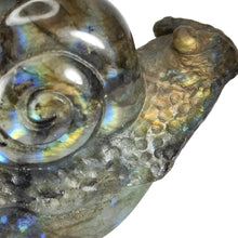 Load image into Gallery viewer, Labradorite Snail #99
