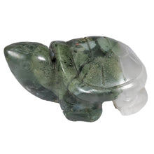 Load image into Gallery viewer, African Bloodstone Turtle # 62
