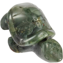 Load image into Gallery viewer, African Bloodstone Turtle # 62
