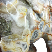 Load image into Gallery viewer, Crazy Lace Agate Elephant XL # 172
