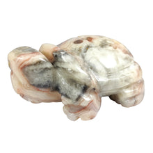 Load image into Gallery viewer, Crazy Lace Agate Turtle # 50
