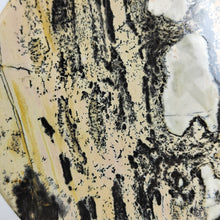 Load image into Gallery viewer, Dendritic Picture Jasper Disc # 95
