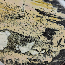 Load image into Gallery viewer, Dendritic Picture Jasper Disc # 95
