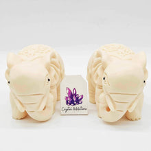 Load image into Gallery viewer, Tagua Nut Elephant Set
