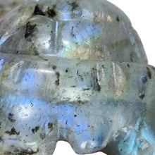 Load image into Gallery viewer, Labradorite Turtle # 67
