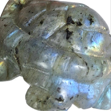Load image into Gallery viewer, Labradorite Turtle # 67
