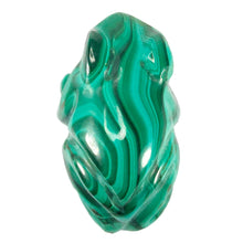 Load image into Gallery viewer, Malachite Frog P.I # 122
