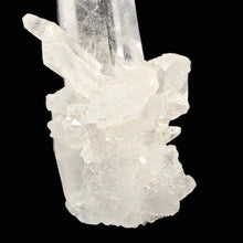 Load image into Gallery viewer, Lemurian Seed Quartz # 16
