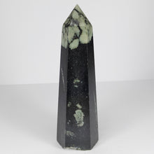 Load image into Gallery viewer, Chrysanthemum Stone Point # 64
