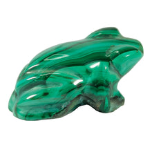 Load image into Gallery viewer, Malachite Frog P.I # 122
