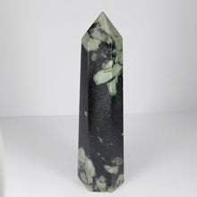 Load image into Gallery viewer, Chrysanthemum Stone Point # 87
