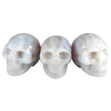 Load image into Gallery viewer, Skulls Mini
