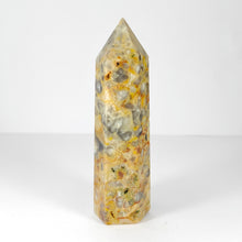 Load image into Gallery viewer, Crazy Lace Agate Point # 76
