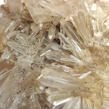 Load image into Gallery viewer, Lemurian Needle Quartz Cluster # 34
