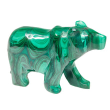 Load image into Gallery viewer, Malachite Bear P.I # 90
