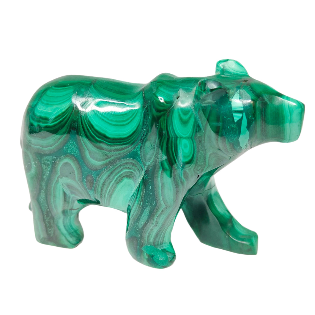 Malachite Bear P.I # 90