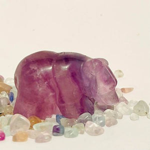 Rainbow Fluorite Bear #168