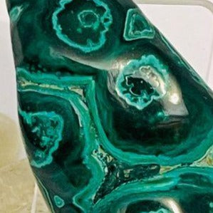 Malachite + Chrysocolla Freeform # 178