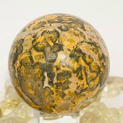 Leopard Skin Jasper Sphere #183 – Crystal Addictions