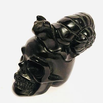 Black Obsidian Snail on Skull #42