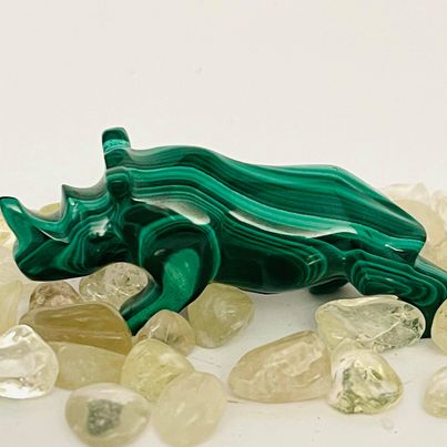 Malachite Rhino P.I # 70