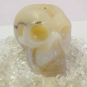 Agate Druzy Geode Skull #168