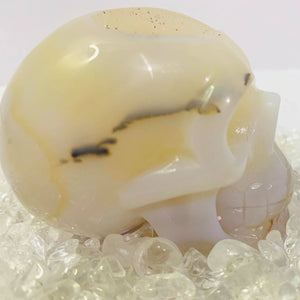 Agate Druzy Geode Skull #168