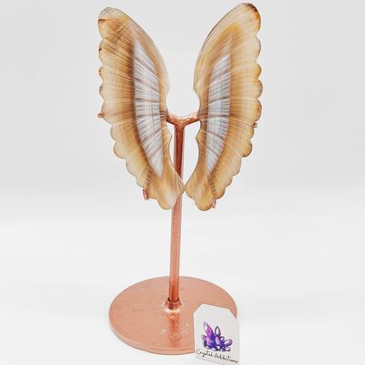 Agate Wings + Stand # 41