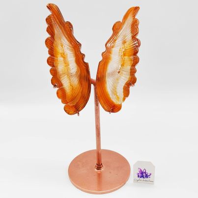 Druzy Agate Wings + Stand # 175