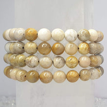 Load image into Gallery viewer, Fossil Coral Bracelet
