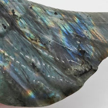 Load image into Gallery viewer, Labradorite Wing with Stand  # 113
