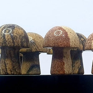 Picturestone Mini Mushroom
