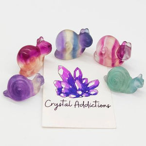 Rainbow Fluorite Mini Snails