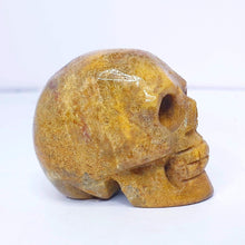 Load image into Gallery viewer, Fossil Coral Skull #41
