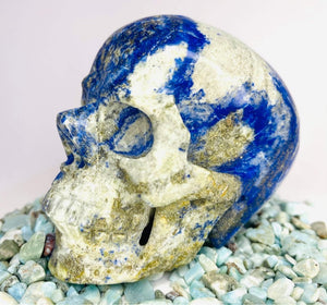 Lapis Lazuli Skull #167